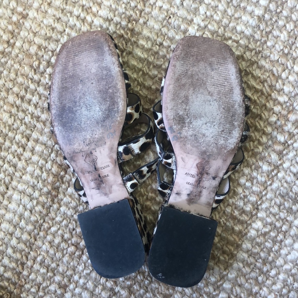 Leopard Slides - Picture 4 of 4